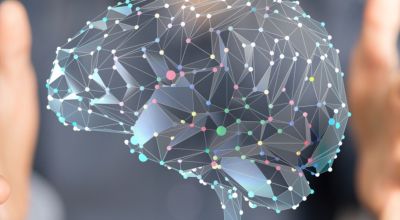 Optimiser le fonctionnement cérébral, c'est possible !