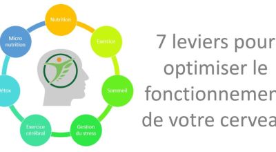 7 leviers pour optimiser le fonctionnement de votre cerveau