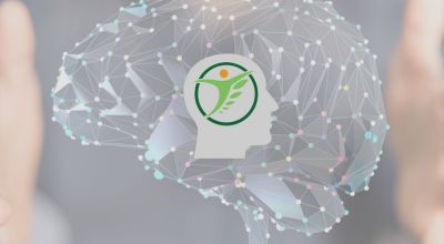Protocole Optimisation Cérébrale : le programme pour améliorer le fonctionnement de votre cerveau