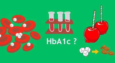 HbA1c : comprendre vos résultats et interpréter votre hémoglobine glyquée