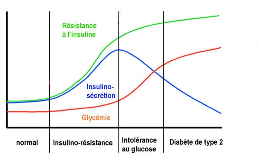 compensation insulinorésistance