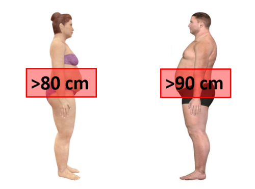 mesure du tour de taille homme et femme