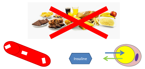 fonctionnement de l'alimentation pauvre en glucides