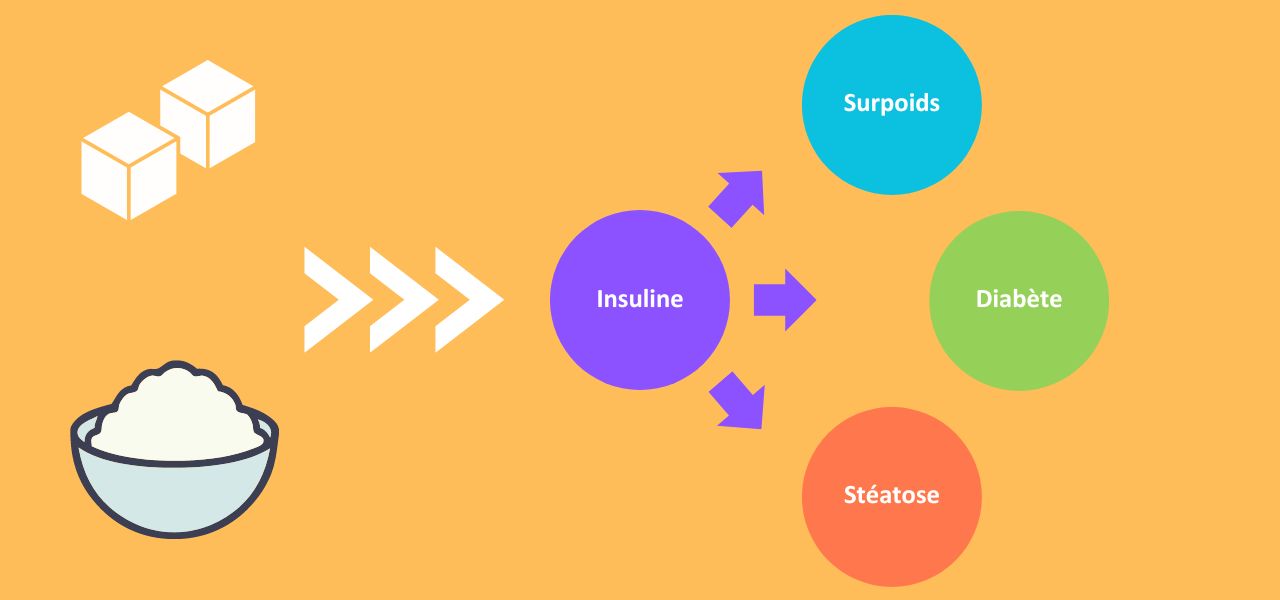 Glucides, insuline et maladies métaboliques, quels sont les liens ?