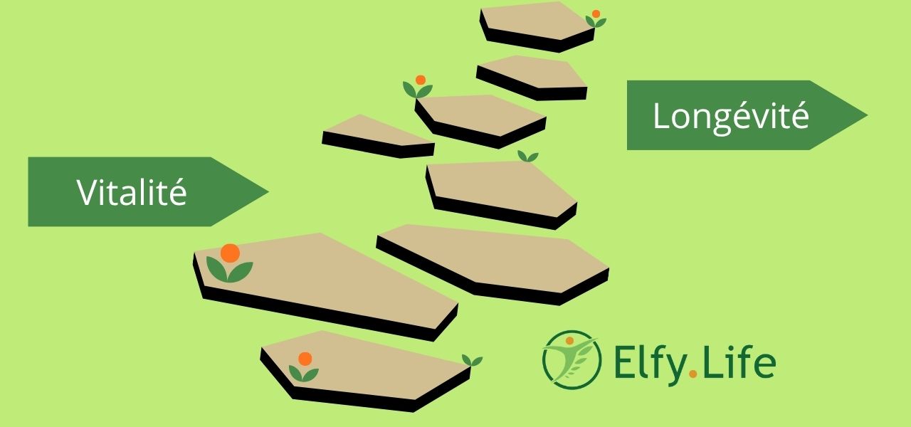 Rester en forme après 50 ans : Vitalité et Longévité, même combat!